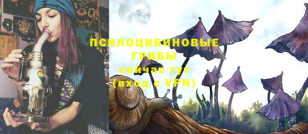 apvp Ельня