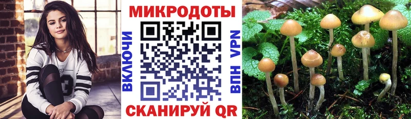 Псилоцибиновые грибы Psilocybine cubensis  Задонск 