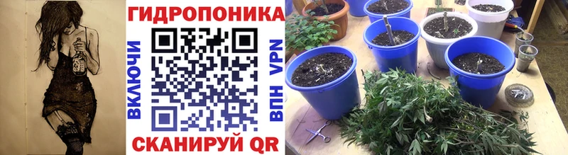 Бошки марихуана THC 21%  Задонск 